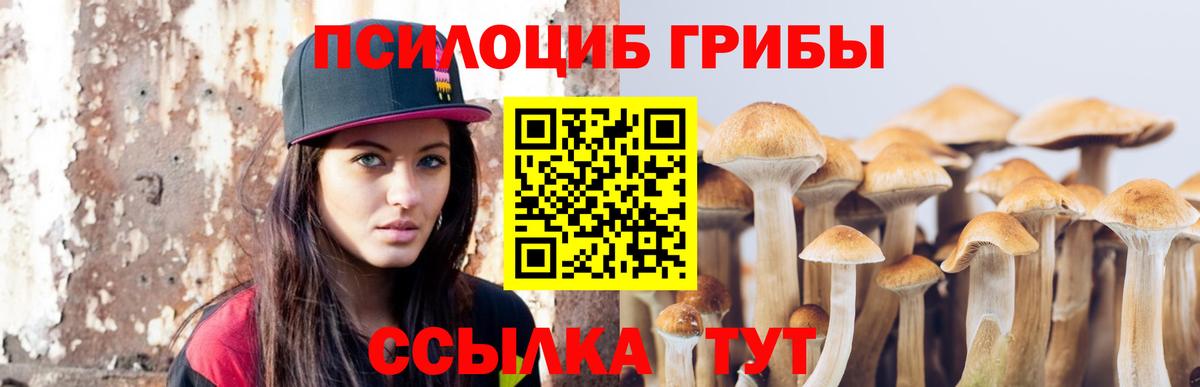 Белебей  Галлюциногенные грибы мицелий  Вход с VPN  Псилоцибиновые грибы мицелий 